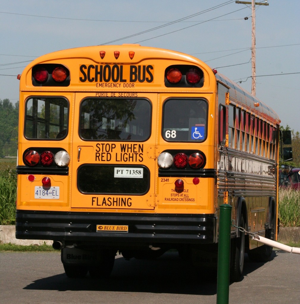 School Bus - Time to get back to school!